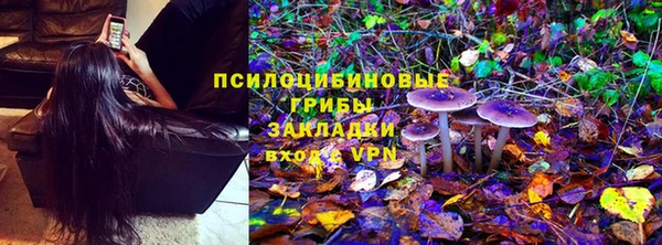 первитин Осинники