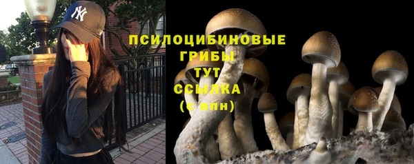 МДПВ Нязепетровск